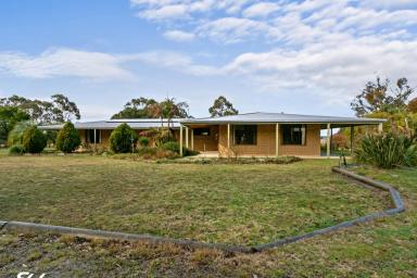 Farmlet For Sale - VIC - Woodside - 3874 - "WANDEREND" LIFESTYLE PROPERTY  (Image 2)