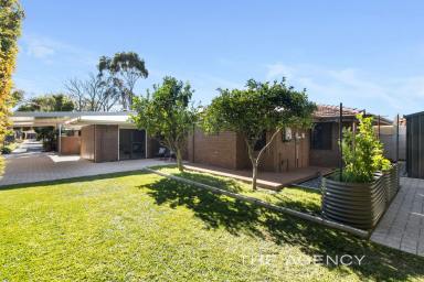 Duplex/Semi-detached Sold - WA - Joondanna - 6060 - URBAN EDGE SANCTUARY  (Image 2)
