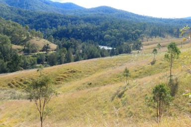 Lifestyle For Sale - NSW - Rocky River - 2372 - GO WILD !  (Image 2)