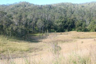 Lifestyle For Sale - NSW - Rocky River - 2372 - SLICE OF HEAVEN  (Image 2)