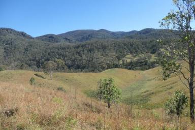 Lifestyle For Sale - NSW - Rocky River - 2372 - SLICE OF HEAVEN  (Image 2)