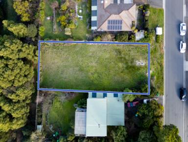 Residential Block For Sale - TAS - Beauty Point - 7270 - Land with a View, Life with a Future  (Image 2)