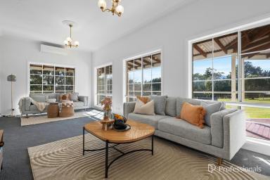 House For Sale - VIC - Launching Place - 3139 - NATURE, SPACE AND SERENITY  (Image 2)