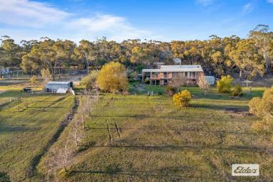 Lifestyle For Sale - VIC - Great Western - 3374 - 3 Level 4 bedroom brick veneer home and a 2 bedroom cottage with views to the Black Ranges and Grampians  (Image 2)