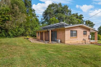 House For Lease - QLD - Lake Macdonald - 4563 - Charming Country Living with Mowing Included  (Image 2)