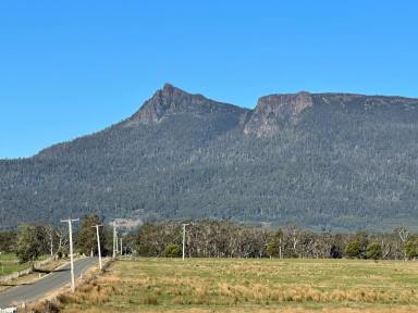 House For Sale - TAS - Western Creek - 7304 - Affordable Lifestyle  (Image 2)