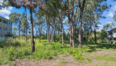 Residential Block For Sale - QLD - Macleay Island - 4184 - Generous 862m² Waterfront Block – Water Connected  (Image 2)