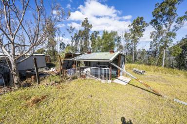 Other (Rural) Auction - NSW - Nymboida - 2460 - 39.40ha Rural Lifestyle Opportunity with DA Approval & Infrastructure  (Image 2)