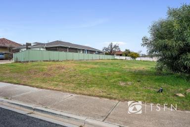 Residential Block For Sale - VIC - Flora Hill - 3550 - Build Your Future in Sought-After Flora Hill  (Image 2)