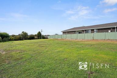 Residential Block For Sale - VIC - Flora Hill - 3550 - Build Your Dream Home in Flora Hill – 420m² (STCA)  (Image 2)