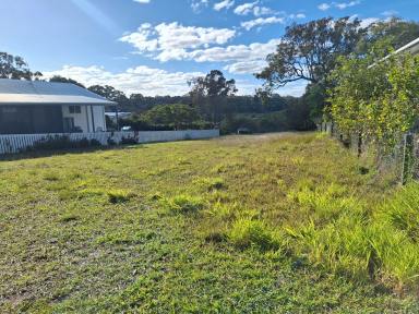 Residential Block For Sale - QLD - Macleay Island - 4184 - Build Your Dream Home with Potential Water Views  (Image 2)