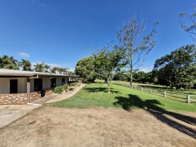 House For Sale - QLD - Malanda - 4885 - Rural Residential Retreat  (Image 2)