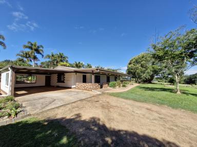House For Sale - QLD - Malanda - 4885 - Rural Residential Retreat  (Image 2)