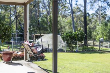 Lifestyle For Sale - NSW - Seelands - 2460 - Serene Country Living with Dual Dwellings on 16.3 Acres  (Image 2)