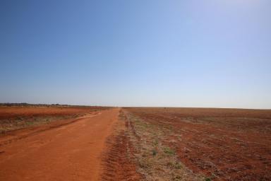 Commercial Farming For Sale - NSW - Monak - 2738 - Horticulture Land Development Opportunity  (Image 2)