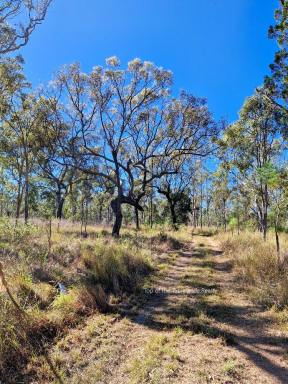 Lifestyle For Sale - QLD - Silver Valley - 4872 - A perfect retreat  (Image 2)