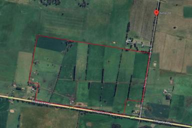 Mixed Farming For Sale - VIC - Yarram - 3971 - FRESH START, BIG OPPORTUNITY - PRODUCTIVE DAIRY HOLDING  (Image 2)