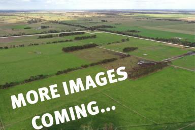 Mixed Farming Sold - VIC - Yarram - 3971 - FRESH START, BIG OPPORTUNITY - PRODUCTIVE DAIRY HOLDING  (Image 2)