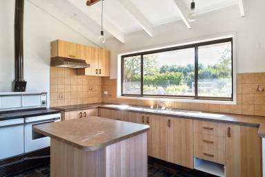 House For Lease - QLD - Vale View - 4352 - Tranquil Acreage Living with Sheds Galore  (Image 2)