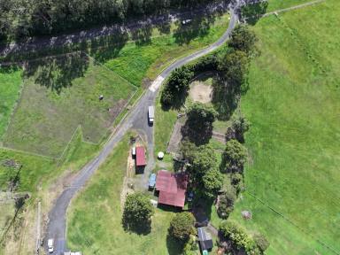Residential Block For Sale - NSW - Kyogle - 2474 - Perfect Investment or Lifestyle Property Near Kyogle with Endless Potential  (Image 2)