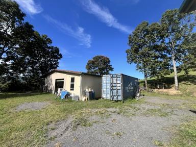 Residential Block For Sale - NSW - Kyogle - 2474 - Perfect Investment or Lifestyle Property Near Kyogle with Endless Potential  (Image 2)