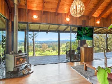 Acreage/Semi-rural For Sale - NSW - Wolumla - 2550 - "NOOJEE" - PLACE OF CONTENT  (Image 2)