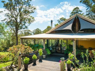 Acreage/Semi-rural For Sale - NSW - Wolumla - 2550 - "NOOJEE" - PLACE OF CONTENT  (Image 2)