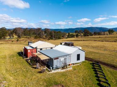 Acreage/Semi-rural For Sale - NSW - Bemboka - 2550 - PRIME DEVELOPMENT OPPORTUNITY WITH LIFESTYLE INFRASTRUCTURE  (Image 2)