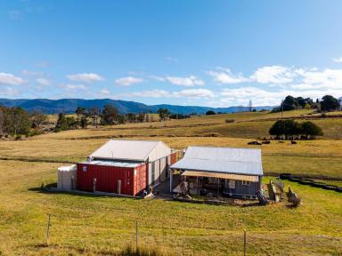 Acreage/Semi-rural For Sale - NSW - Bemboka - 2550 - PRIME DEVELOPMENT OPPORTUNITY WITH LIFESTYLE INFRASTRUCTURE  (Image 2)