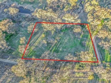 Residential Block For Sale - NSW - Young - 2594 - 5,252ms* Allotment Only Minutes To Town  (Image 2)