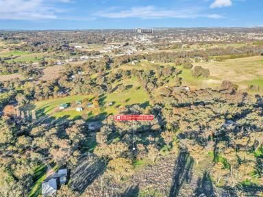 Residential Block For Sale - NSW - Young - 2594 - 5,252ms* Allotment Only Minutes To Town  (Image 2)