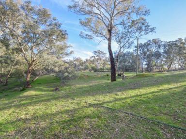 Residential Block For Sale - NSW - Young - 2594 - 5,252ms* Allotment Only Minutes To Town  (Image 2)