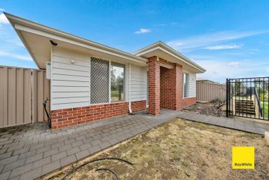House For Lease - WA - Beckenham - 6107 - New lovely 3 bedroom. 2 bathroom home - Available Now!  (Image 2)