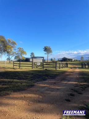 House For Sale - QLD - Kingaroy - 4610 - 10 acres 10 minutes to Kingaroy with 2 homes  (Image 2)