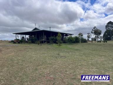 House For Sale - QLD - Kingaroy - 4610 - 10 acres 10 minutes to Kingaroy with 2 homes  (Image 2)