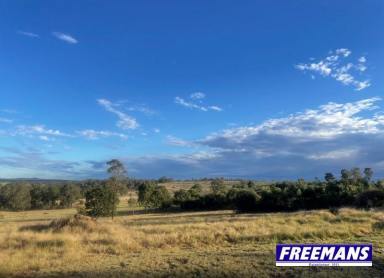 House For Sale - QLD - Kingaroy - 4610 - 10 acres 10 minutes to Kingaroy with 2 homes  (Image 2)