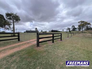 House For Sale - QLD - Kingaroy - 4610 - 10 acres 10 minutes to Kingaroy with 2 homes  (Image 2)