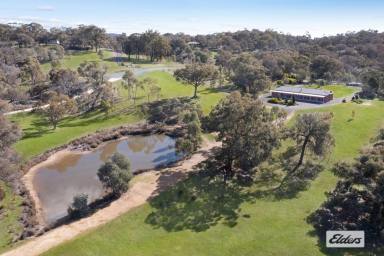 Acreage/Semi-rural For Sale - VIC - Sedgwick - 3551 - MODERN LIVING IN SCENIC SEDWICK  (Image 2)