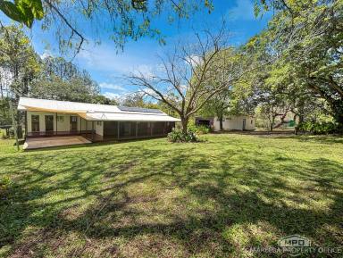 Lifestyle For Sale - QLD - Koah - 4881 - SUSTAINABLE RIVERFRONT RETREAT, PRIVATE SETTING!  (Image 2)