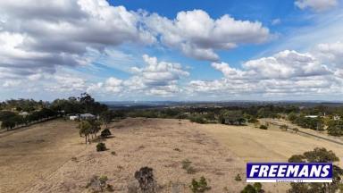 Residential Block For Sale - QLD - Ellesmere - 4610 - A clean block that is ready to cattle graze & build your home  (Image 2)