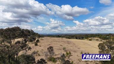 Residential Block For Sale - QLD - Ellesmere - 4610 - A clean block that is ready to cattle graze & build your home  (Image 2)