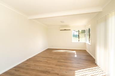House For Lease - NSW - Ashmont - 2650 - NEAT & TIDY 3 BEDROOM HOME WITH LARGE YARD AND SHED  (Image 2)