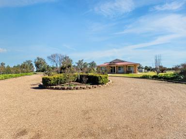 House For Sale - NSW - Narrabri - 2390 - MODERN BRICK LIVING ON 2 HA, NEAR TOWN  (Image 2)