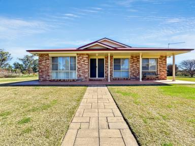 House For Sale - NSW - Narrabri - 2390 - MODERN BRICK LIVING ON 2 HA, NEAR TOWN  (Image 2)