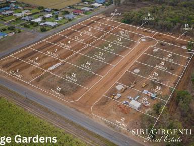 Residential Block For Sale - QLD - Mareeba - 4880 - Country Living just a stones throw away from town  (Image 2)