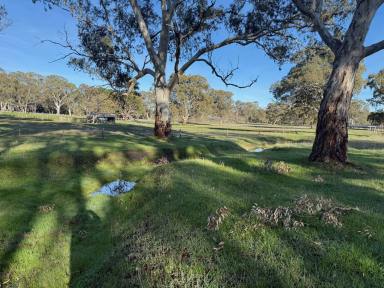 Residential Block For Sale - SA - Mount Pleasant - 5235 - 10.42 Ha of country peace, tranquility and nature. Quality land. Mains water connected, 8km to Birdwood. Your country retreat awaits (STCC)  (Image 2)