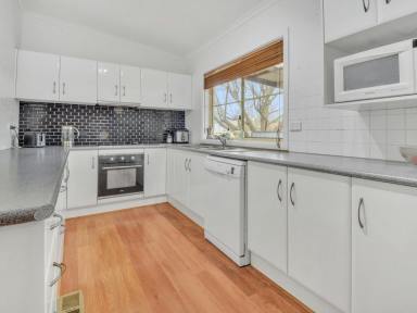 House For Sale - NSW - Young - 2594 - The Perfect Low Maintenance Investment  (Image 2)