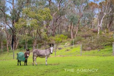 House For Sale - WA - Helena Valley - 6056 - Bespoke Secluded 5 Acre  Pony Lovers Paradise Bordering The Helena River & National Park  (Image 2)