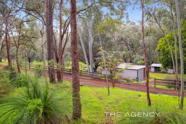 House For Sale - WA - Helena Valley - 6056 - 5 Acre Secluded Pony Lovers Paradise Bordering The Helena River & National Park  (Image 2)