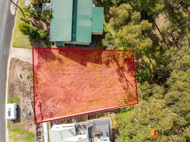 Residential Block For Sale - NSW - Catalina - 2536 - Build Your Dream Home - Cleared 666sqm block with leafy reserve outlook  (Image 2)